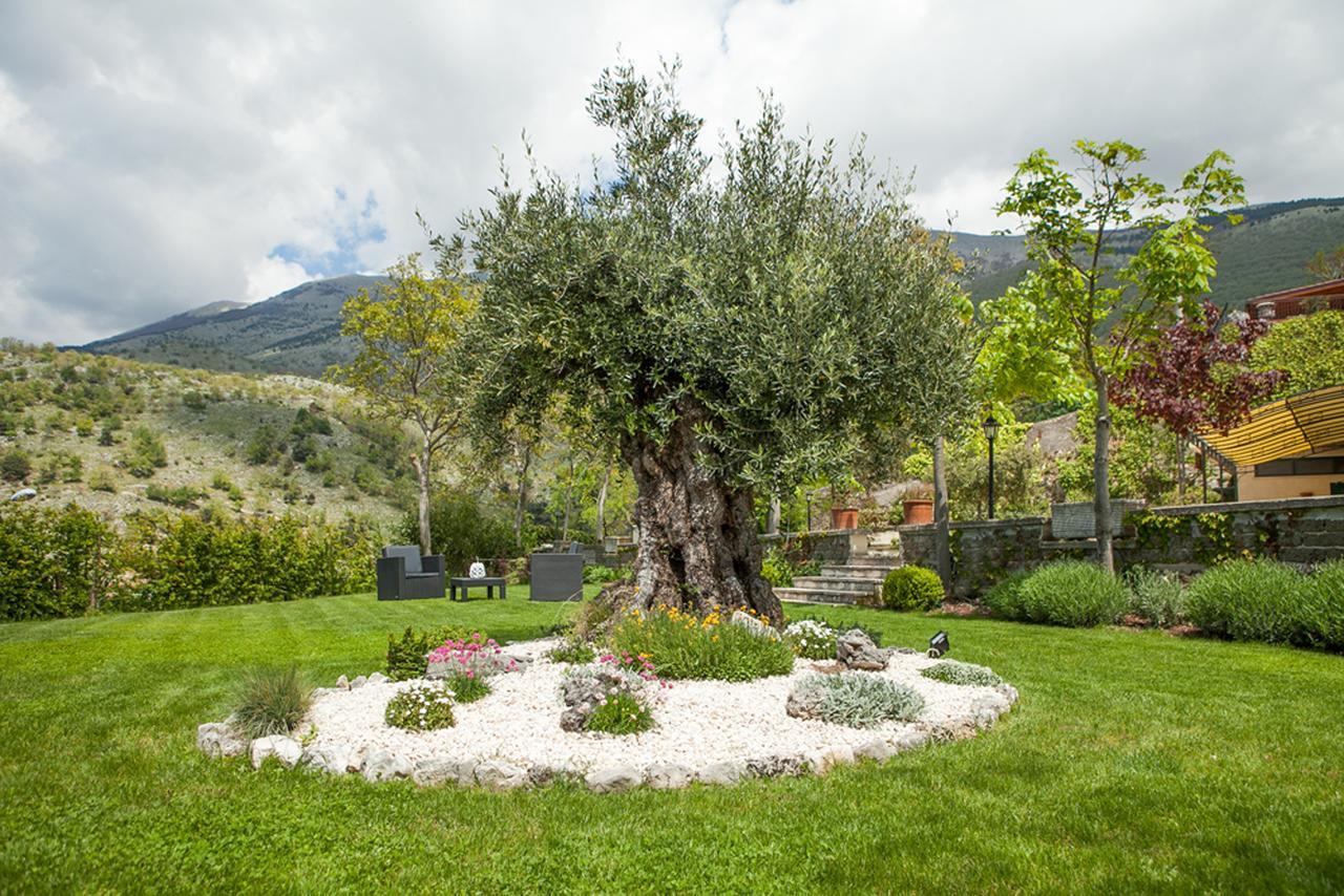 B&B Al Colle Pescosolido Exterior foto